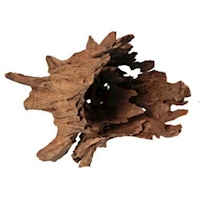 Kořen Jungle Root M, 30-40 cm