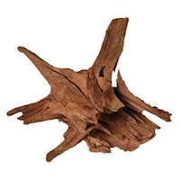 Kořen Jungle Root L, 40-60 cm