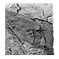 BACK TO NATURE Slimline River Basalt/Gray 50A, 50x45 cm