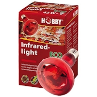 HOBBY Žárovka Infraredlight Eco 42 W