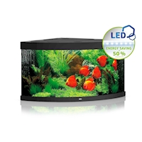JUWEL akvarijní set TRIGON 350 LED, černá, 350 l