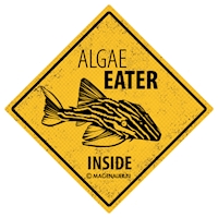 algea_eater_samolepka2