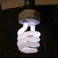 JBL Energeticky úsporná žárovka ReptilDesert UV Light, 15 W (obr. č. 3)