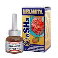 hexamita