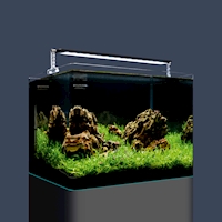 3315_2_Nano-Tank-Plant-Pro_55L