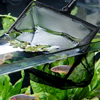 2865_P4_Fish-Net-Small (1)