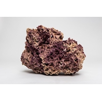 PS-009-Jurassic-Reef-Rock2-548x363