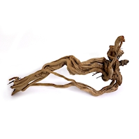 CURL WOOD 81202