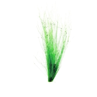 Eleocharis vivipara  (VE = 5) *NEU*