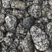 dupla-ground-nature-dalmatiner-stone-10-25-mm_2