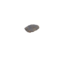 Blue Marbled Rock S