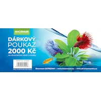 dárkový poukaz_2000