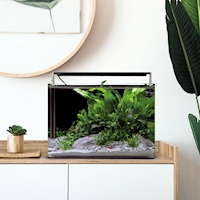 dennerle-nano-tank-complete-25-l-719200-cs