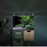 dennerle-nano-tank-complete-35-l-719188-cs