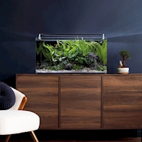 dennerle-nano-tank-complete-60-l-719167-cs