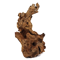 barico-wurzel-medium-20-30cm