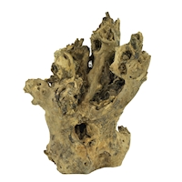 barico-wurzel-large-30-45cm~3