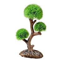 hobby-aqua-tree-3