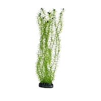 hobby-deko-lagarosiphon-34-cm-sb