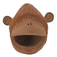 Coco Monkey 1