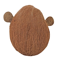 Coco Monkey 13