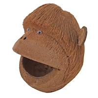 Coco Monkey 12