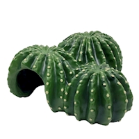 Cactus home 6 17,5×17×8 cm2