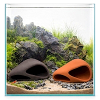 Wave Cave 1, dark2