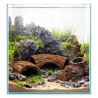 Root Wood Cave3