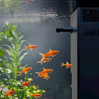 JUA_EccoFlow_AppControl_Werbe-Asset_Transparent_Smartes_Filtersystem@2x