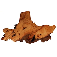 Mopani-Holz LARGE, 0,7-1,5 kg, 30-50 cm, EAN