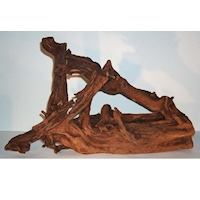 Mangroven-Wurzel, Medium, 25-35 cm, EAN