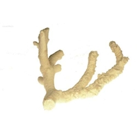 Kámen větvený korál 1 kg S014