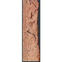 BACK TO NATURE Slimline 50D 10x45 cm Red Gneiss