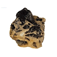 Leopard Stone (Nyasa Stone, Cloudy Rock), kg