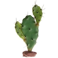 KAKTUS SERENGETI 30 cm