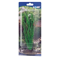 HOBBY Dekorace Sagittaria, 20 cm