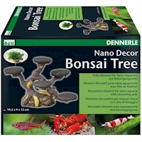 DENNERLE NANO BONSAI TREE