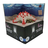 HYDOR Dekorace H2SHOW Starfish s bílým LED osvětlením
