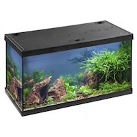 EHEIM Akvarijní set Aquastar 54 LED 54 l, černý