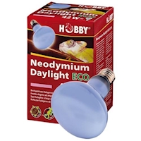 HOBBY Žárovka Neodymium Daylight Eco 108 W