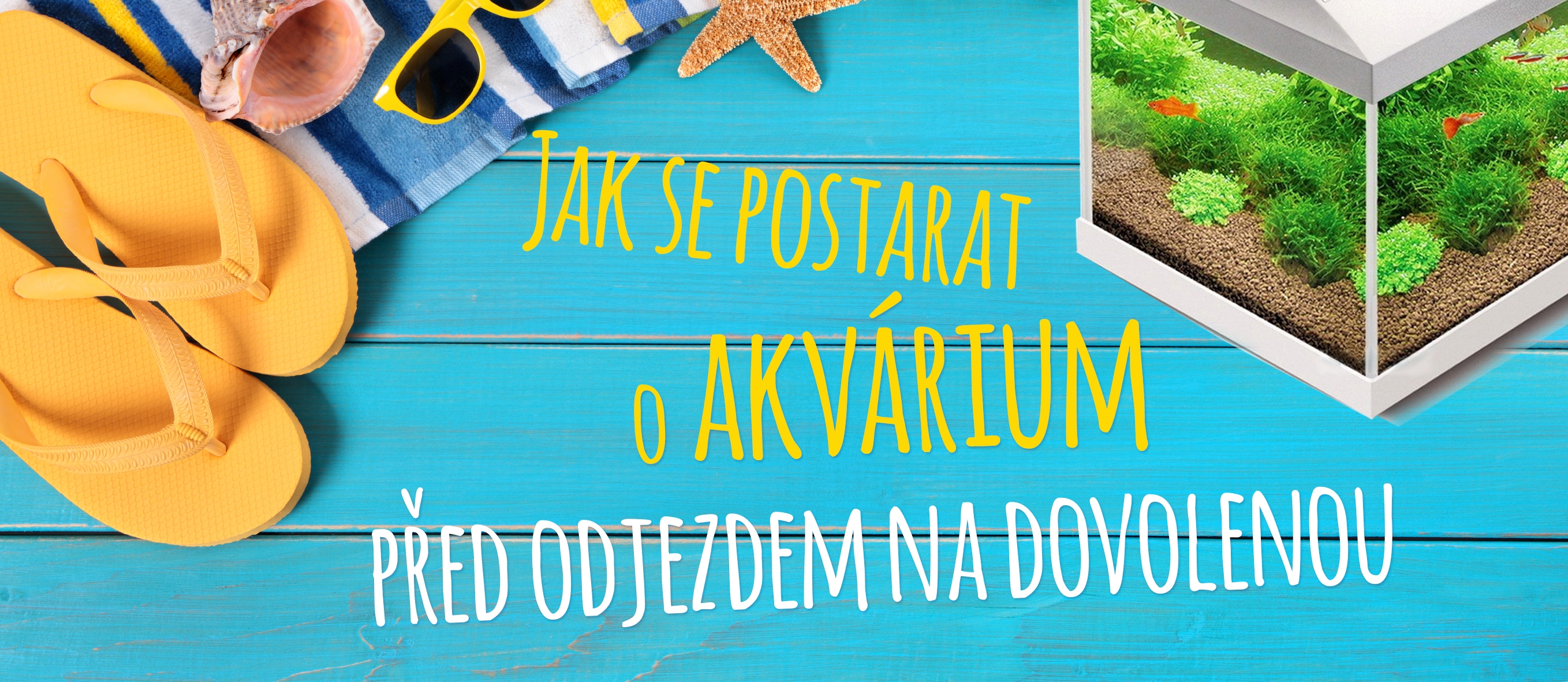 Jak se postarat o akvárium před odjezdem na dovolenou