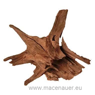 MACENAUER Kořen Jungle Root L, 40-60 cm