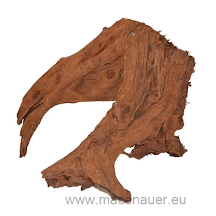 MACENAUER Kořen Amazonas Root L 25-35 cm