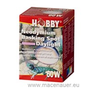 HOBBY Neo Spot Daylight 80 W