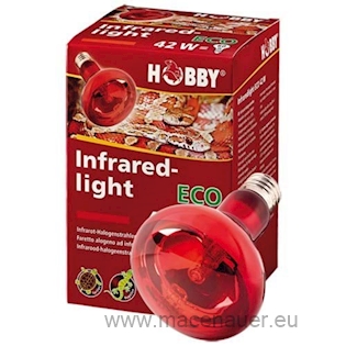 HOBBY Žárovka Infraredlight Eco 70 W