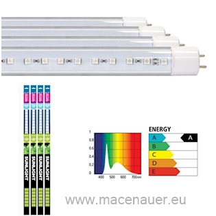 ARCADIA LED Osvětlení Classica Sunlight T8 LED 11 W, 75 cm (FES25)