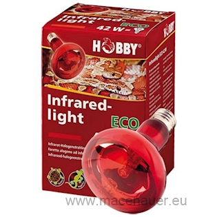 HOBBY Žárovka Infraredlight Eco 42 W