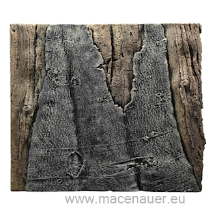 BACK TO NATURE Slimline 50A Amazonas 50x45 cm