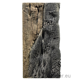 BACK TO NATURE Slimline 50C Amazonas 20x45 cm